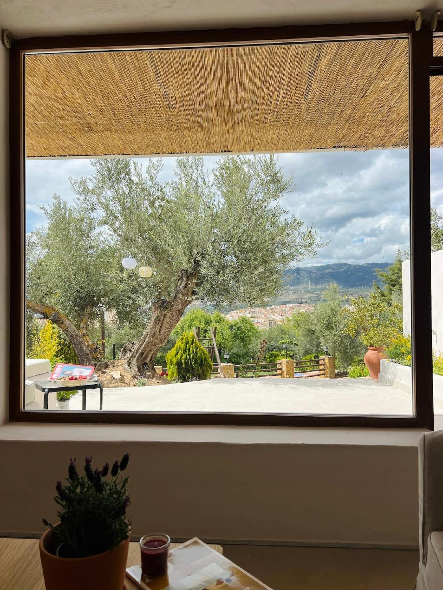 Lenta Appartement Pozo Alcón